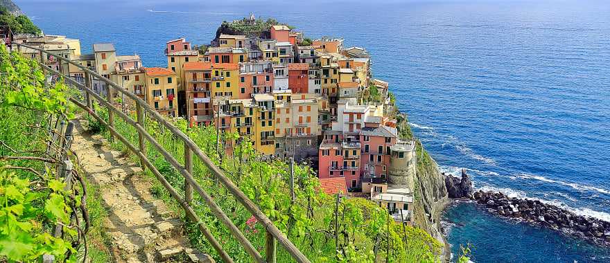 Pathway thru vineyards above Manarola in the Cinque Terre, Italy.