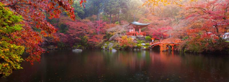 Japan Photography Tour: Cities, Castles, Landscapes, Nature & More