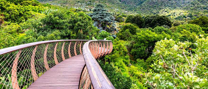 Kirstenbosch National Botanical Garden, Cape Town, South Africa