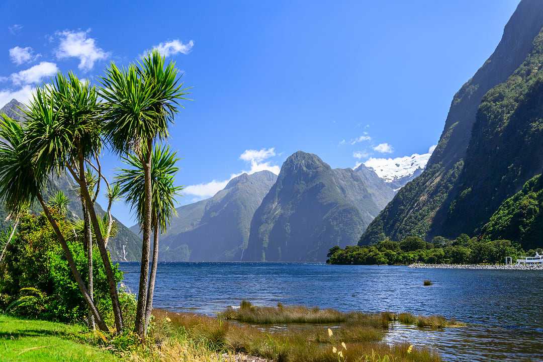 View of Milford Sound in New Zealand.