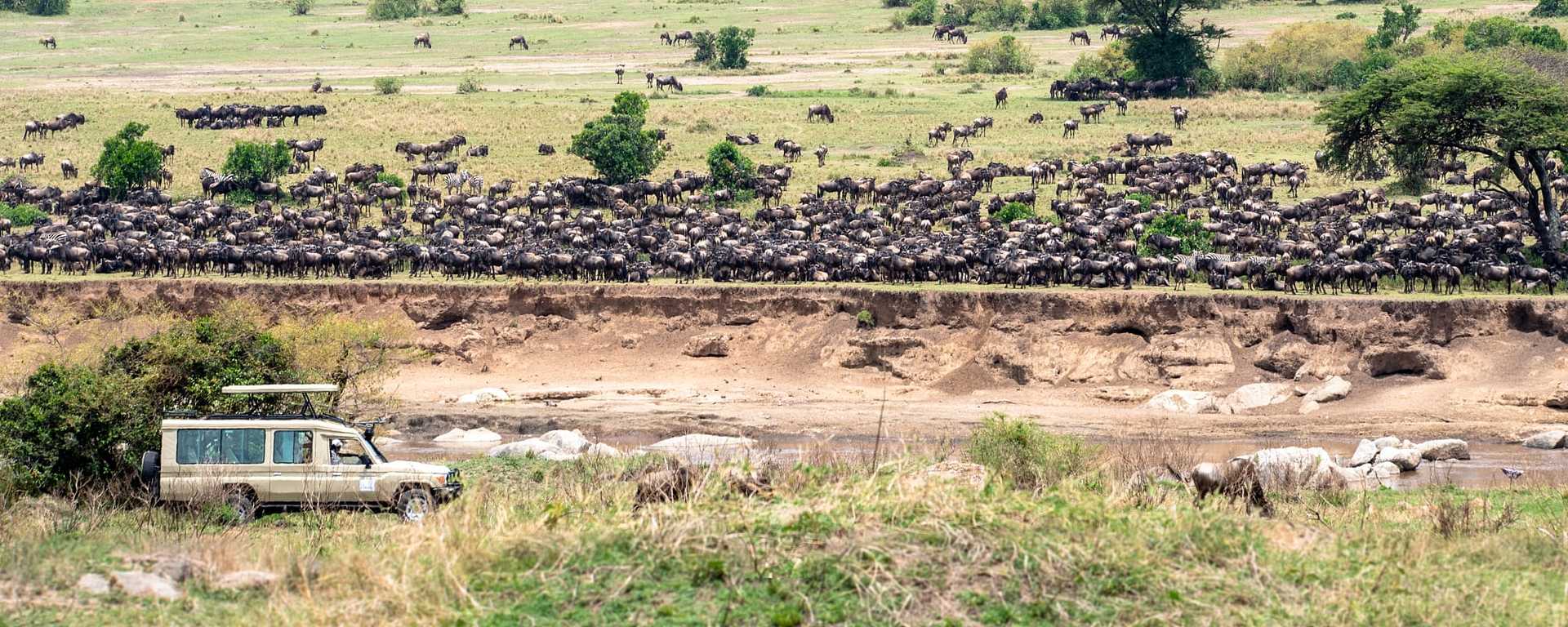 Great migration view in Northern Serengeti, Tanzania