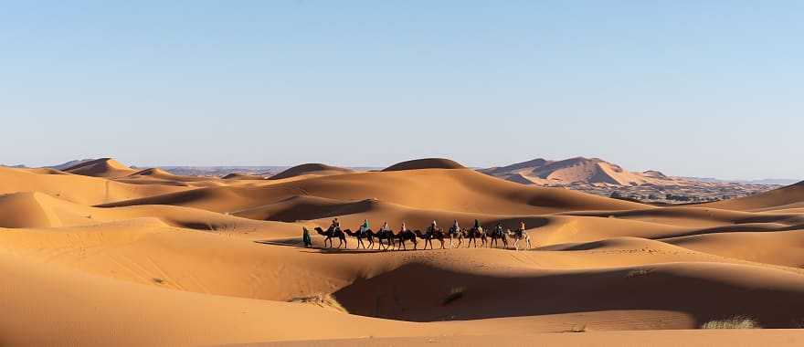 Camel ride through the Moroccan desert sand dunes