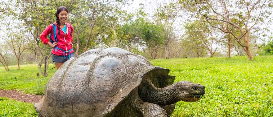 Giant tortoise and woman tourist on Santa Cruz island in the Galapagos, Ecuador