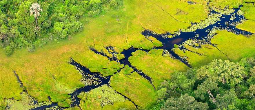Aerial view of the Okavango Delta in Botswana