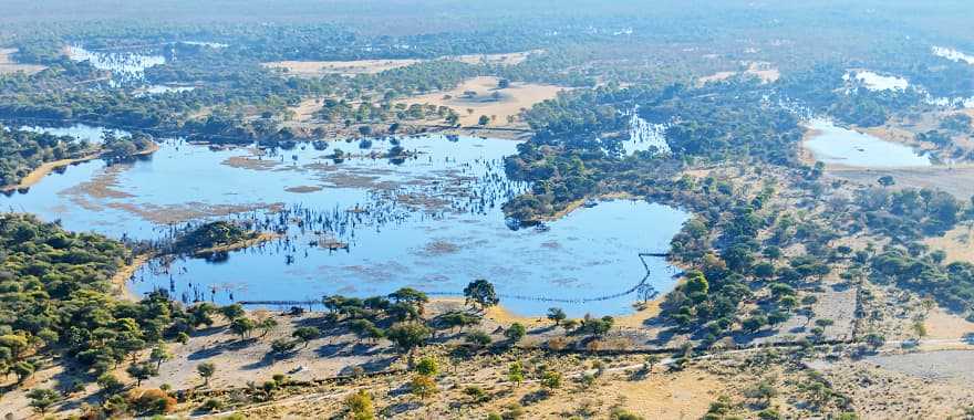 Aerial view of the Okavango Delta 