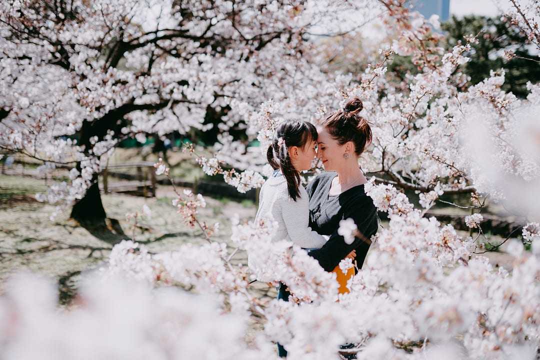 Mother and daughter sharing a moment amongst the cherry blossoms in Tokyo, Japan