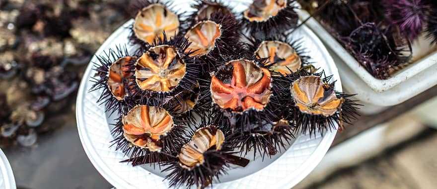 Fresh sea urchin at a seafood market in the Puglia region of Italy