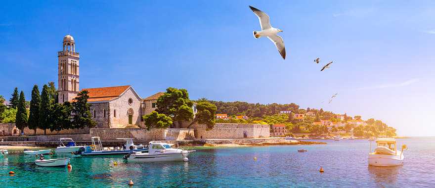 Seagull flying over the harbor with fishing boats in Hvar, Croatia