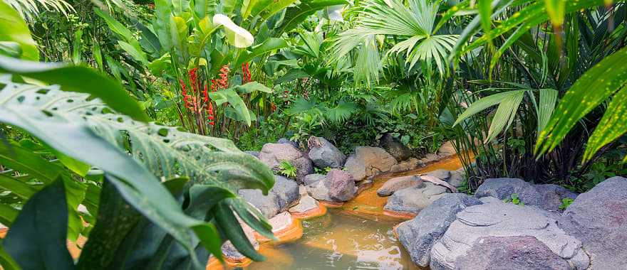 Relax in the natural hot springs of Arenal while inhaling the misty air of the region, Costa Rica