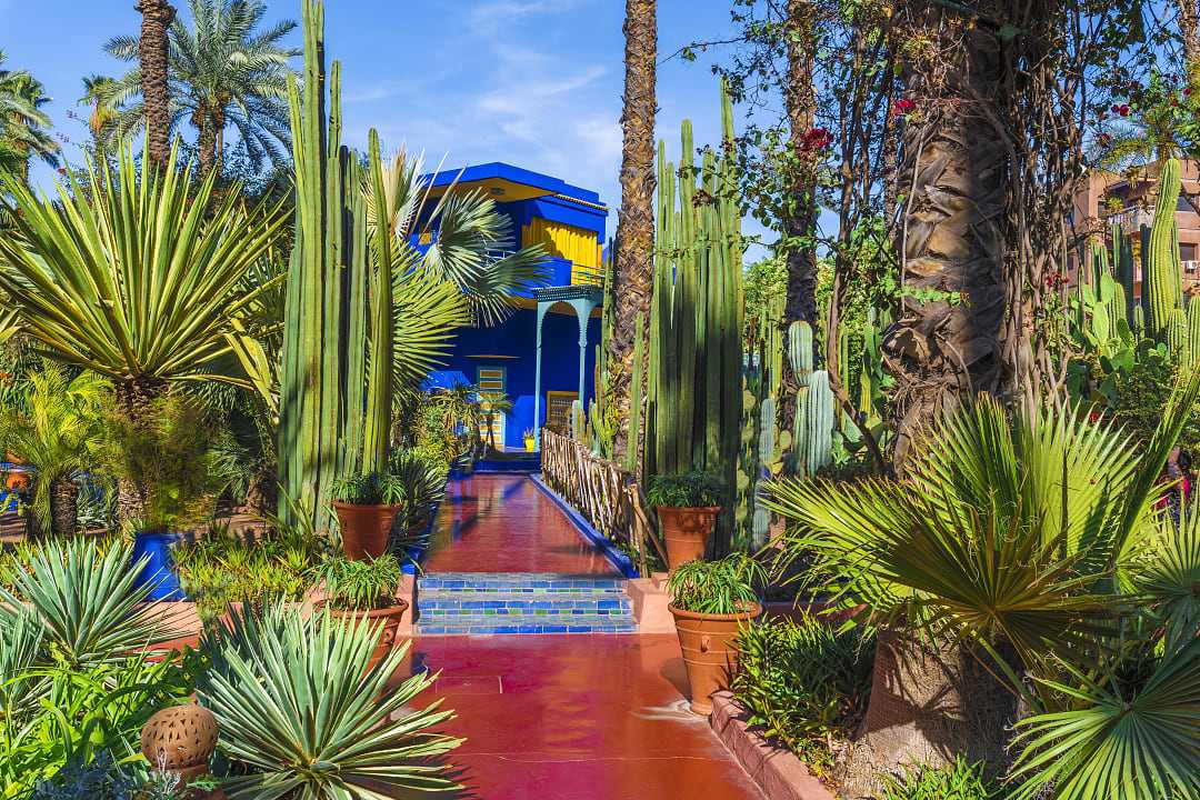 The Majorelle Garden in Marrakech, Morocco