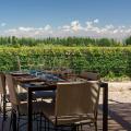 Wine tasting at a winery with view of Andes Mountains in Mendoza.