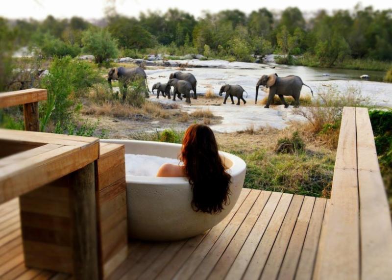 African Safari Tours  Best Safaris  Vacations 20202021