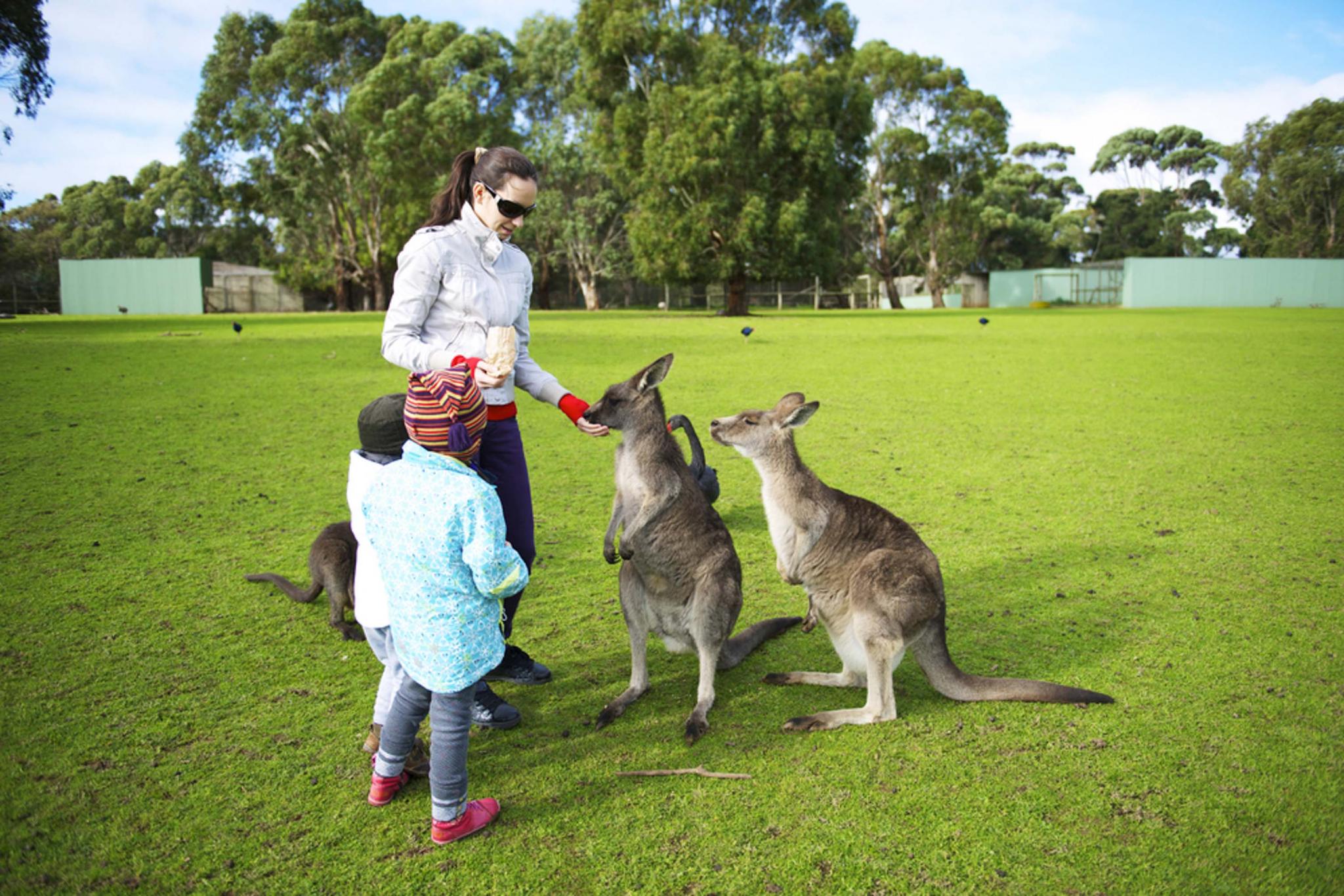 australia trip with family