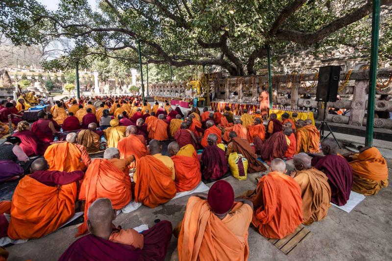 pilgrimage tour buddhist
