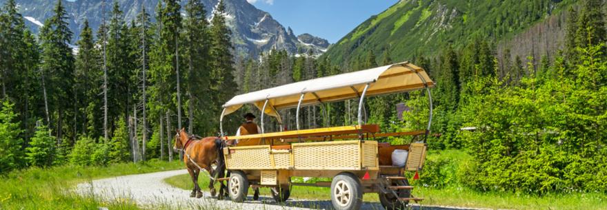 A traditional carriage in the Tatra Mountains of Poland.
