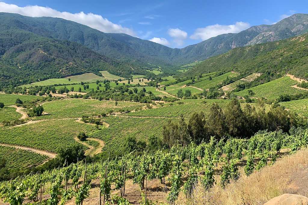Vineyards surrounded by mountains in Colchagua Valley, Chile