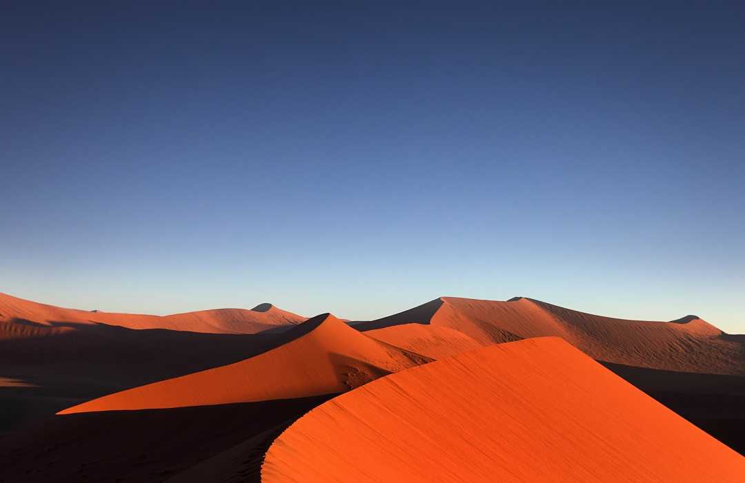 Dunes in the Namib Desert