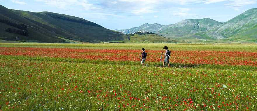 Couple trekking through poppy fields in Umbria, Italy