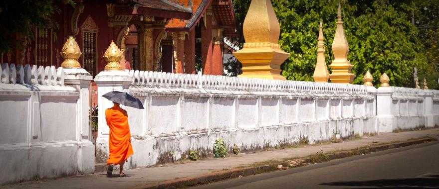 Monk in Luang, Laos