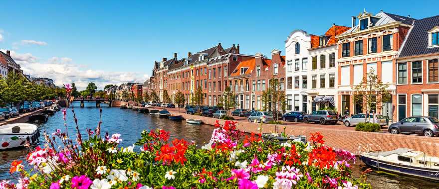 Old Town Haarlem in Netherlands 
