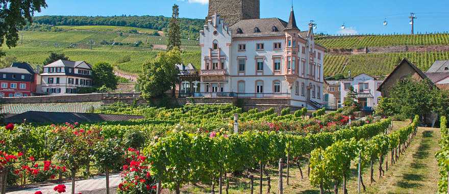 Boosenburg Castle and Vineyards, Rudesheim, Germany