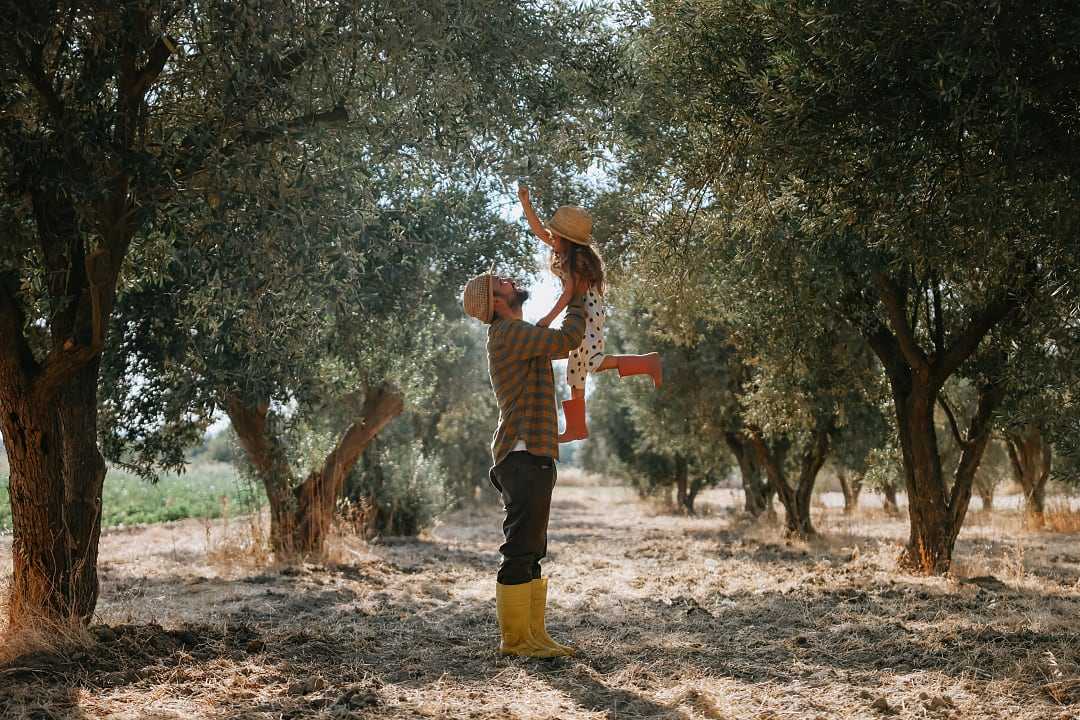 Father and daughter at an olive plantation