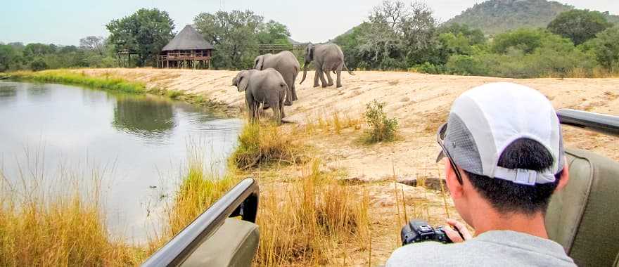 Teenage photographer on safari game drive in Kruger National Park, South Africa