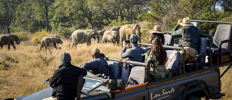 Game drive in Lion Sands Game Reserve, South Africa