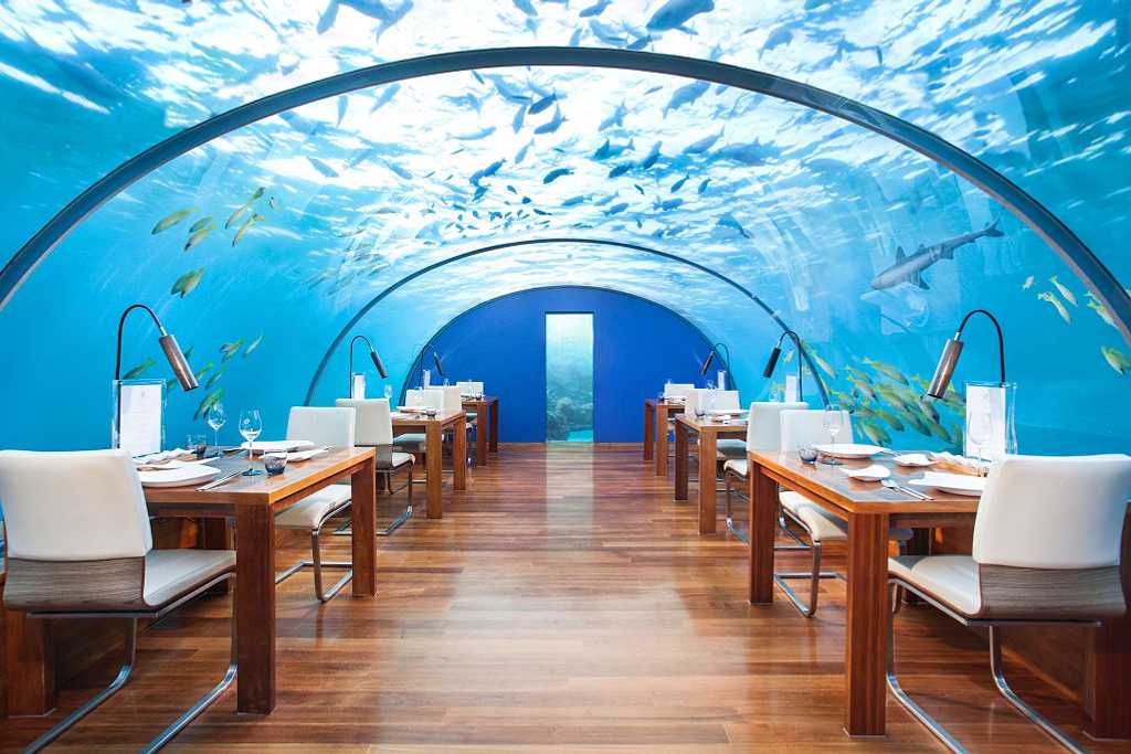  Ithaa Undersea Restaurant in the Maldives.  Photo courtesy of Conrad Maldives Rangali Island