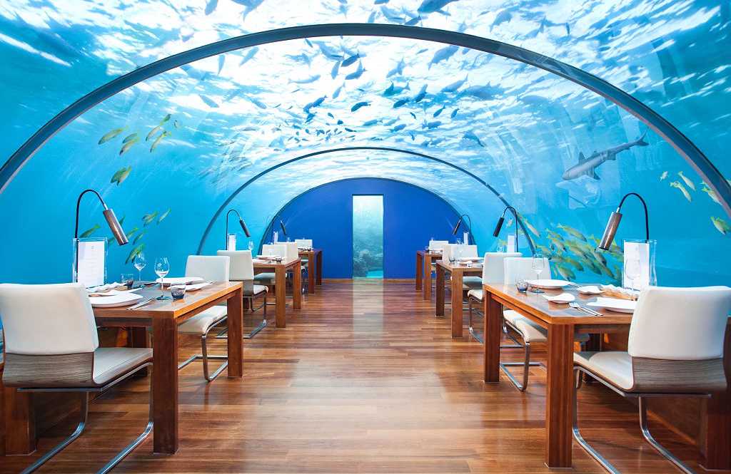 Ithaa Undersea Restaurant in the Maldives.  Photo courtesy of Conrad Maldives Rangali Island  Ithaa Undersea Restaurant in the Maldives.  Photo courtesy of Conrad Maldives Rangali Island