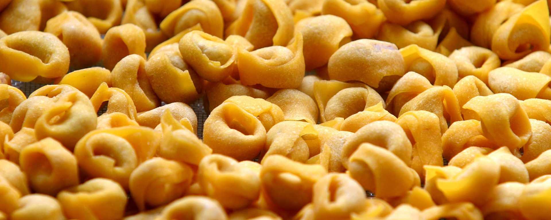 Freshly made Tortellini in Bologna, Italy