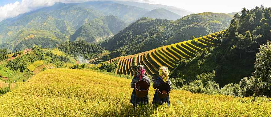 Hmong women on rice terraces in Sapa, Vietnam