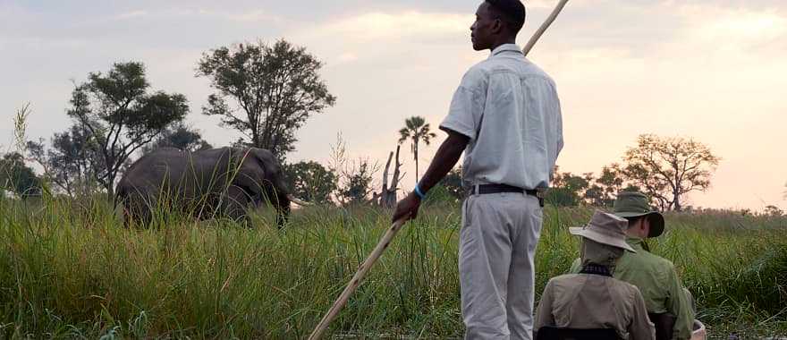 Mokoro boat safari with elephant on riverbank at Sanctuary Baines Camp in Botswana