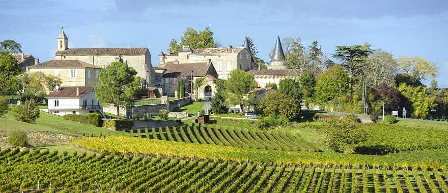 Vineyards of Saint Emilion in Bordeaux, France.