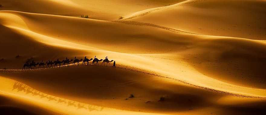 Sahara desert at sunset in Morocco