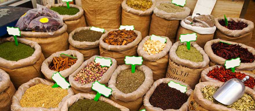 Gastronomy and Culture 10-Day Israel Tour Gastronomy and Culture 10-Day Israel Tour