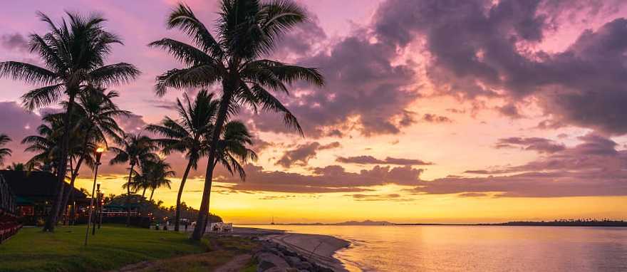 A Perfect Romantic Getaway to Fiji & Australia Palm tree silhouette against a beautiful sunset on the fijian coast