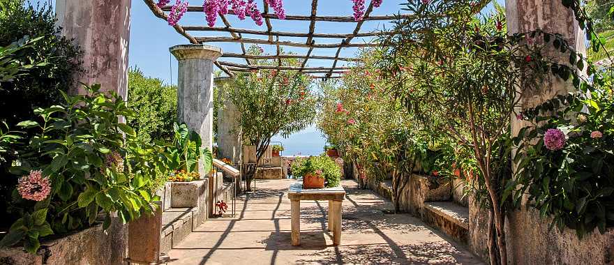 Flowers in bloom at Villa Rufolo in Ravello on the Amalfi Coast, Italy