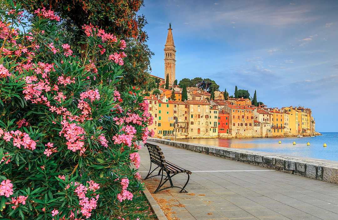 Rovinj, Croatia Spring blooms in Rovinj, Croatia