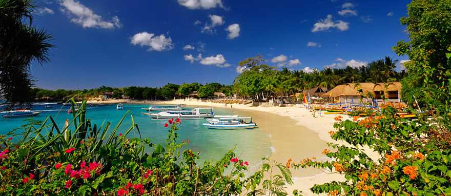 Beautiful golden sand beach with colorful flowers in Bali Beautiful golden sand beach with colorful flowers in Bali
