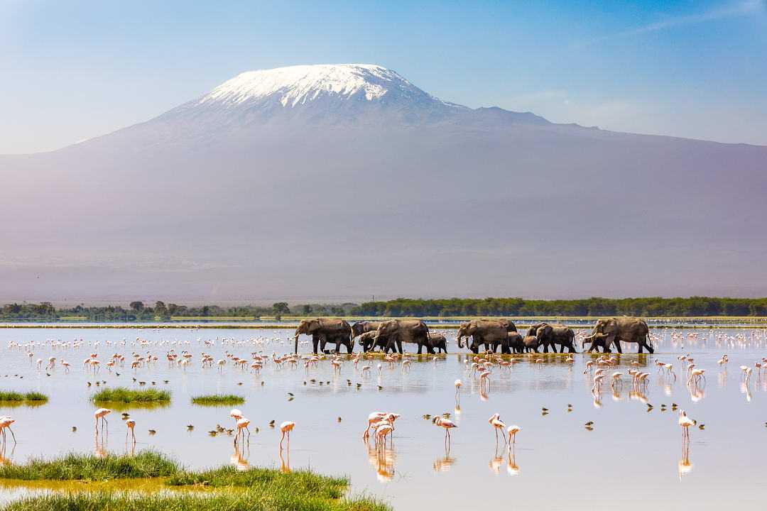 View of Mount of Kilimanjaro from Amboseli National Park in Kenya