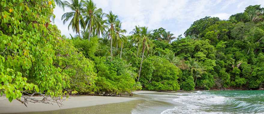 Enjoy the coastline beaches of Manuel Antonio, Costa Rica