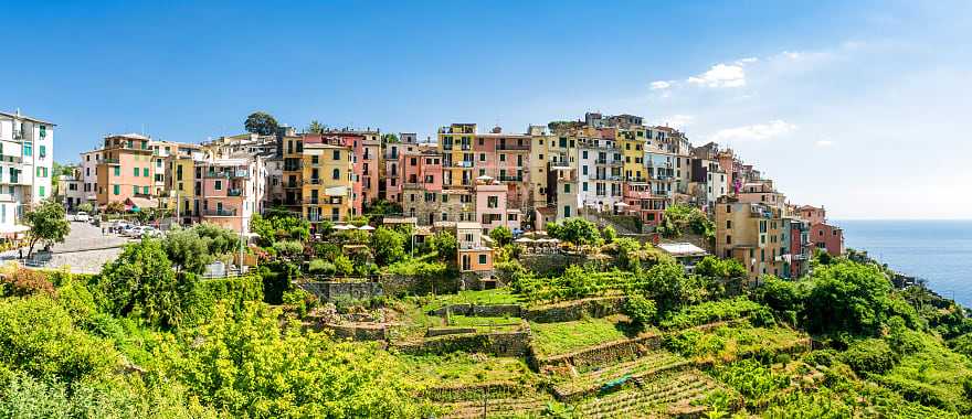 Vineyards and hilltop village of Corniglia in the Cinque Terre, Italy