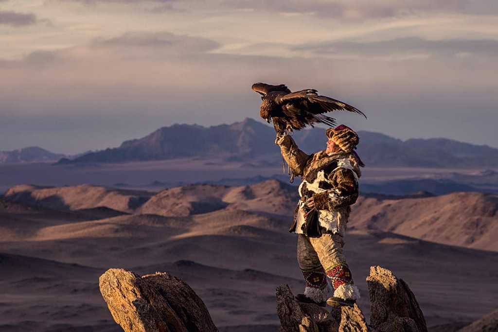 Mongolian eagle hunter in traditional fox dress