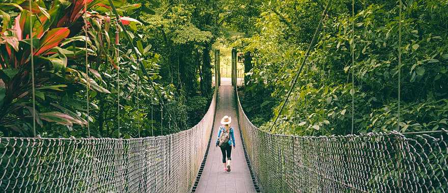 Tourist hiking across hanging bridge in Monteverde, Costa Rica