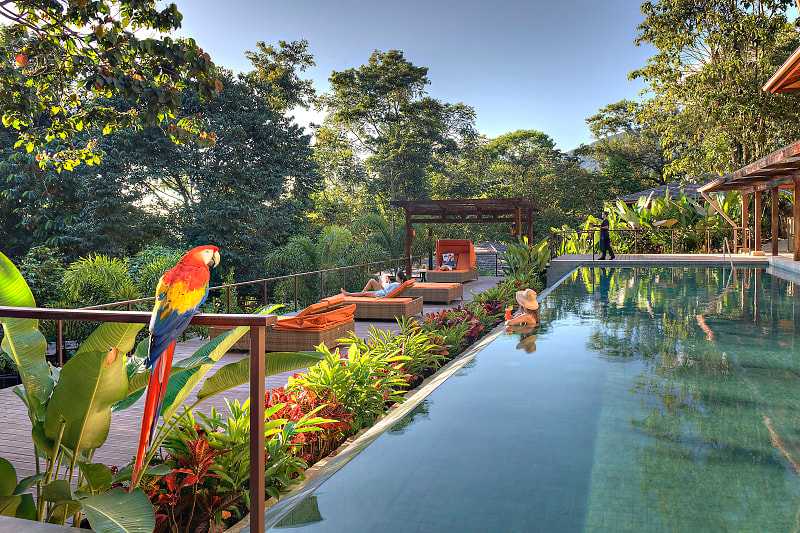 Nayara Springs lap pool in Costa Rica.  Photo courtesy Nayara Resorts