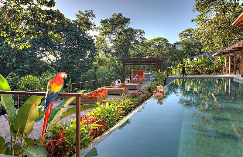 Nayara Springs lap pool in Costa Rica.  Photo courtesy Nayara Resorts