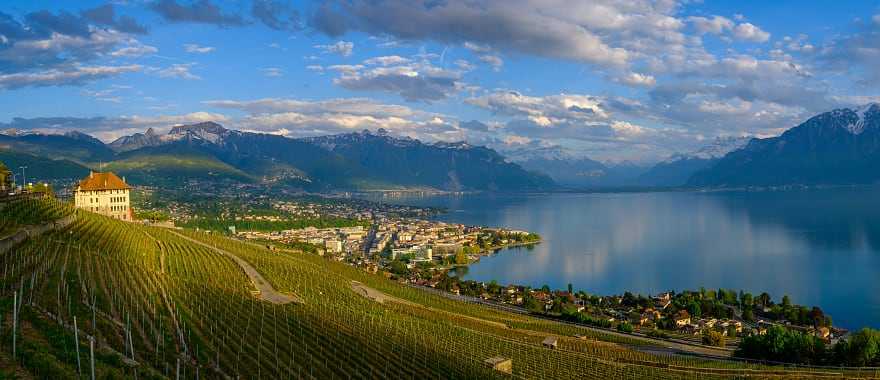 Vineyards near Lausanne on Lake Geneva, Switzerland