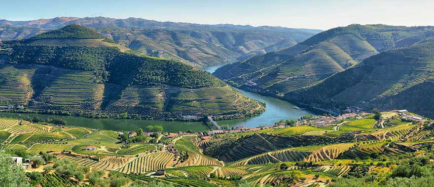 Vineyards in the Douro River Valley, Portugal