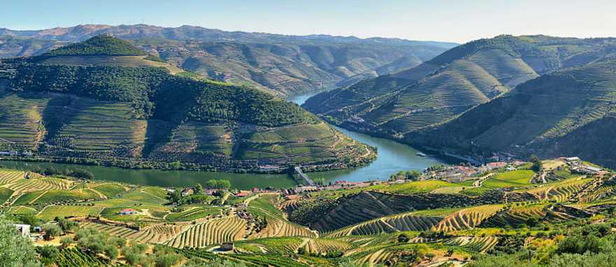 Douro River Valley, Portugal Vineyards in the Douro River Valley, Portugal